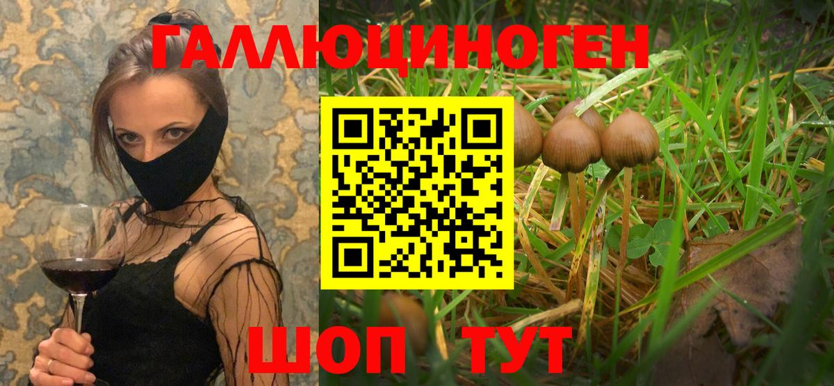 Сорочинск  Галлюциногенные грибы прущие грибы  Вход с VPN  Псилоцибиновые грибы мицелий 
