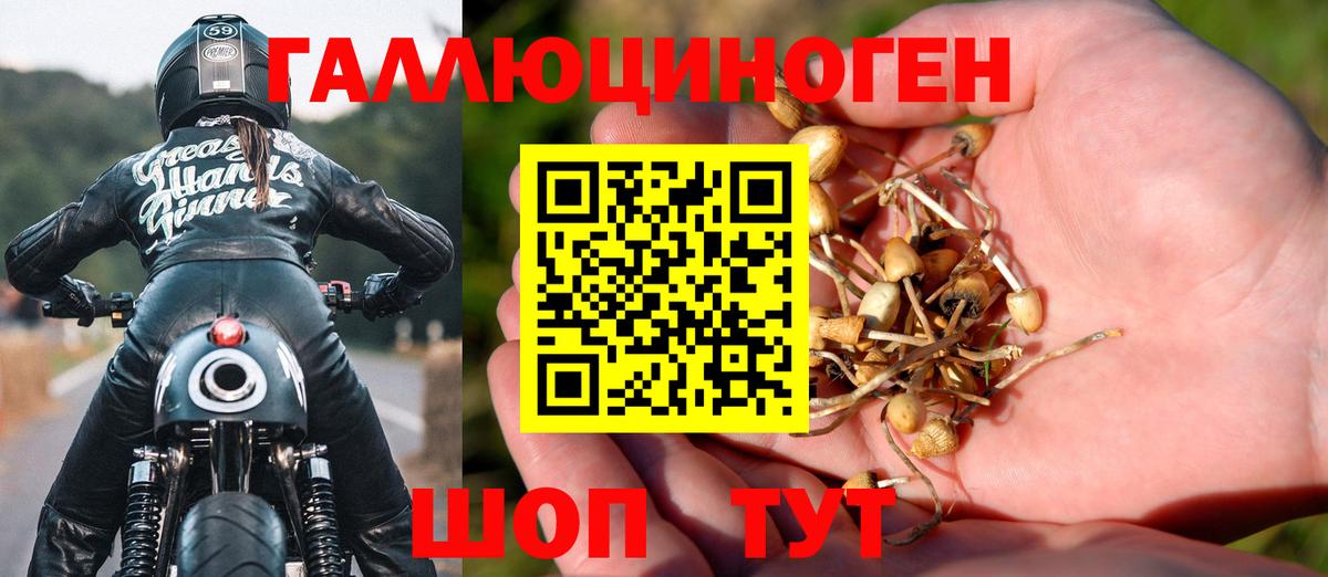 Галлюциногенные грибы мухоморы Сорочинск